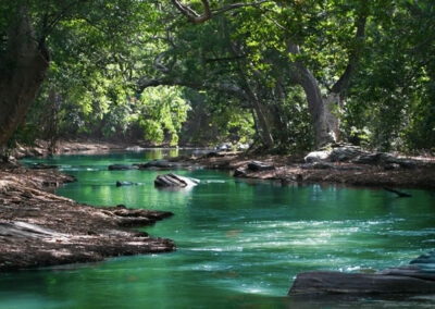 ISO 14001:2015 Sistemas de Gestión Ambiental